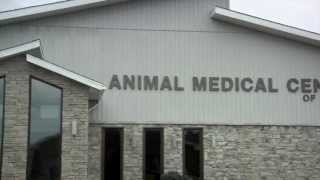 preview picture of video 'Animal Medical Center of Ontario - Short | Mansfield, OH'