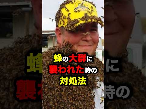 膜翅目 (系統分類)について詳しく解説