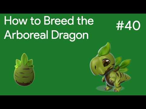How to Breed the Arboreal Dragon | DML Breeding Guide #40