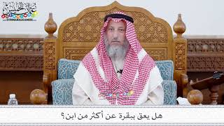 107 - هل يعق ببقرة عن أكثر من ابن؟ - عثمان الخميس