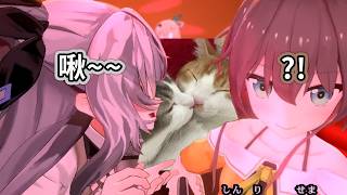 果然大家對貓貓都沒有抵抗力呢w【Zeta Matsuli Iroha Riona】【Hololive精華】