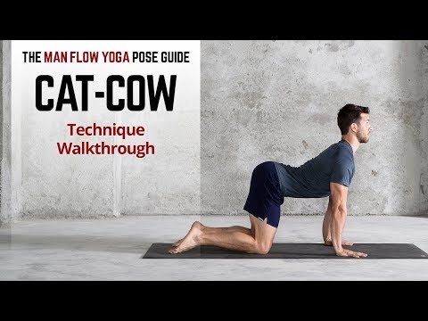 How to do Cat Cow Pose Tutorial  for Beginners (Technique Walkthrough)