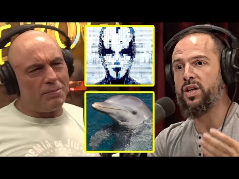 AI Just Translated Animal Communication | Joe Rogan