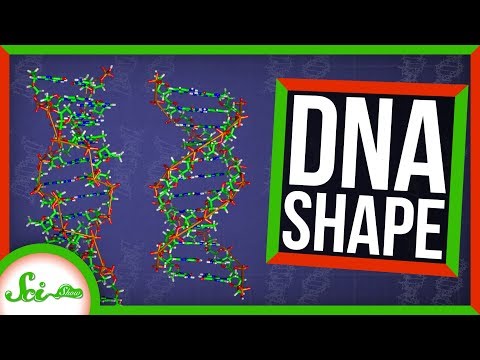 宇宙はどのようにして私たちのDNAを形成してきたのか (How Space Might Have Shaped Our DNA)