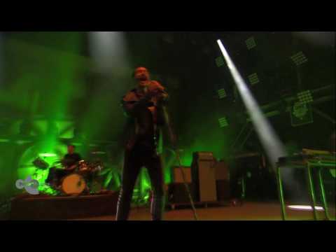 The Pulse - Editors