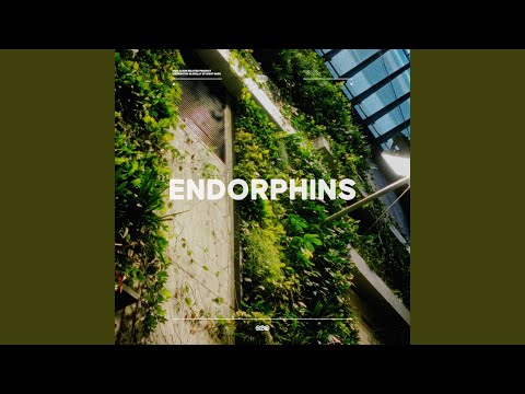 Endorphins