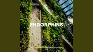 Mph - Endorphins video