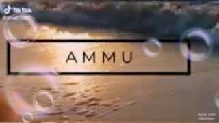 AMMU status