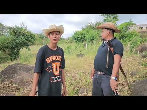 LA TIENE GRANDE  LA MANSANA DE TIERRA