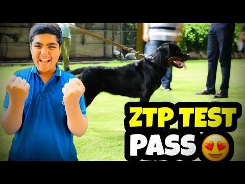 Finally Unze nay test pass kar leeyah 🥰🥰 || Vlog Squad