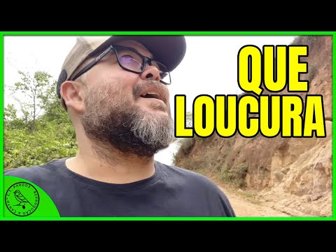 NUNCA TINHA VISTO NADA ASSIM ANTES😍😍😍