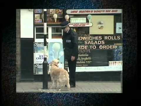 The Day Today - Bomb Dogs