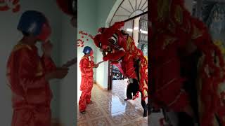 preview picture of video 'Múa lân 2019'