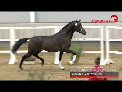 Hengst v. Fürstenball - Jazz - Weltmeyer