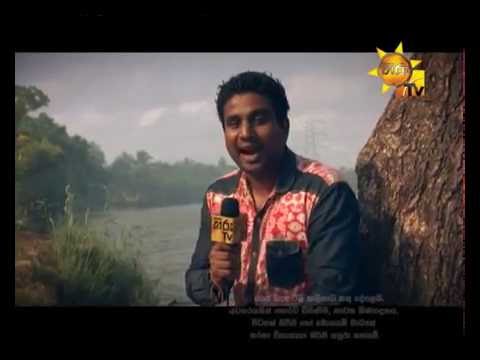 Hiru TV