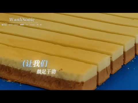 Inline Ultrasonic Food Cutting Machine