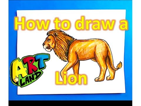 How to draw a Lion