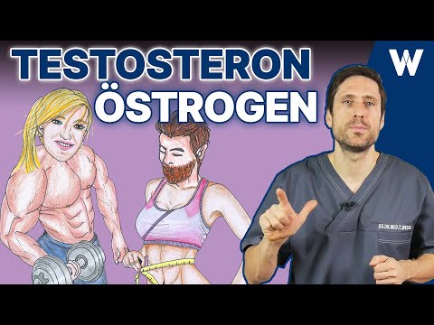 Testosteron vs. Östrogene: Achte auf diese Symptome! Folgen durch Mangel oder Überschuss