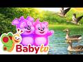 Where Do Geese Go When It S Cold Learn Fun Facts About Geese BabyTV