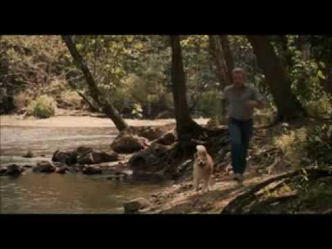 cenas sempre ao seu lado