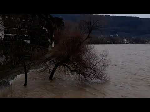 Hochwasser Bad Säckingen am 30.01.2021