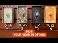 2024 Your Year In Detail ❷⓪❷❹