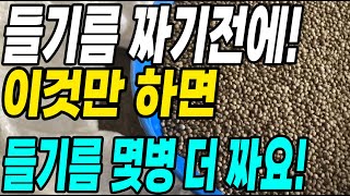 들기름 짜기전에 이것만 하면 들기름 몇병은 더 짜요! 최소한 이것 꼭! 하세요
