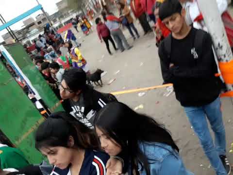 QANCHIS DE MAMUERA | 4 "A" | I.E FRANCISCO BOLOGNESI 6064