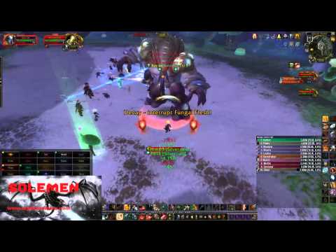 Mythic Raiders VS Brackenspore  Normal Highmaul