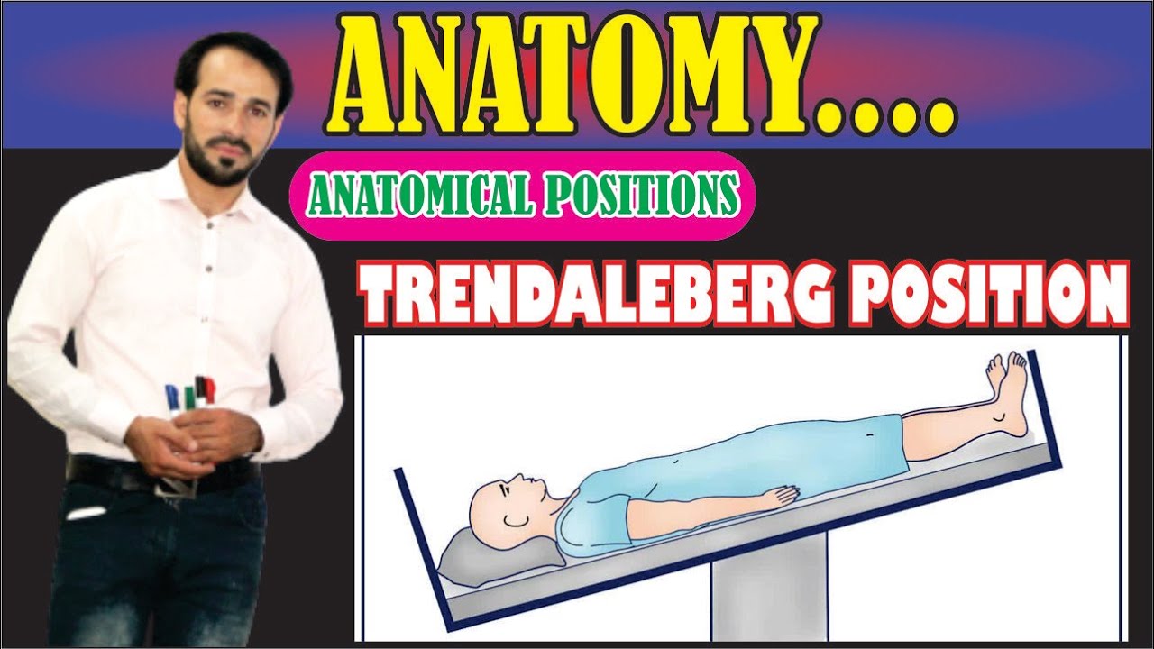 What is the Trendelenburg position used for? Tipseri