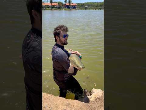 Pirarucu pego em prudente de Morais Mg(pesqueiro do Tadeu) #pescar #fishing #pirarucu #pesqueiro