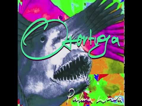 Video thumbnail for Palma Linda