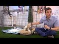 Zak George And The Potty Training Puppy Apartment How To Potty Train A Puppy