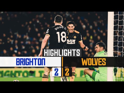 FC Brighton & Hove Albion 2-2 FC Wolverhampton Wan...