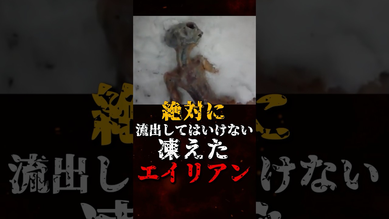 絶対に流出してはいけない、凍えたエイリアン