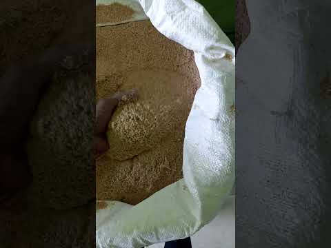 Shiv tara wheat bran cattle feed - rough, 49kgs, packaging t...