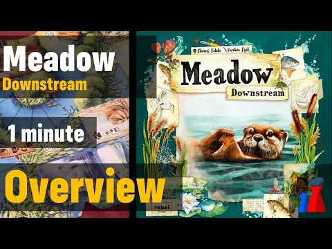 Meadow Downstream -1 minute Overview - Peaky Boardgamer