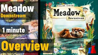 Meadow Downstream -1 minute Overview - Peaky Boardgamer