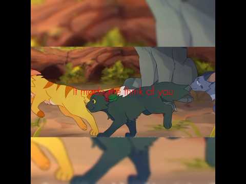 I miss Jaykit, Hollykit, and Lionkit 😭😭 It made me think of you… #warriorcats #editsong