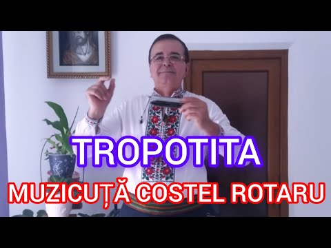 Tropotita,joc popular din Maramureș & (Cover-Gheorghe Turda)Muzicuță Costel Rotaru