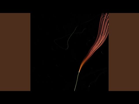 Miss the Darker Nights