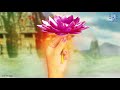 MahaLakshmi Whatsapp Status
