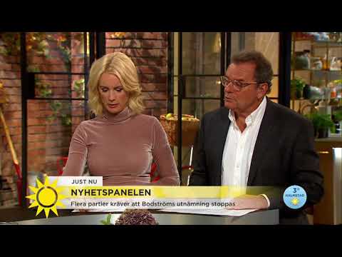 Bodström om kritiken: "Sanningen kommer att komma fram" - Nyhetsmorgon (TV4)