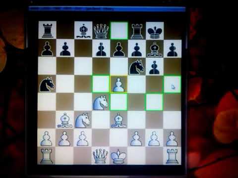 Bobby FISCHER trik SICILIJANSKI ZMAJ #24 ŠAH i MAT