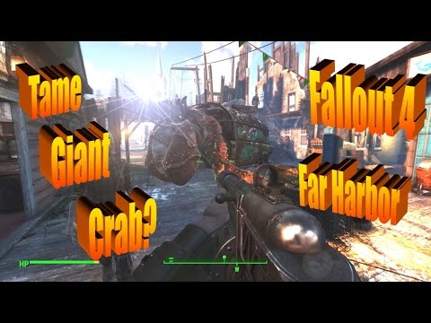 What Happens if You Try to Tame a Giant Hermit Crab in Fallout 4 Far Harbor?
