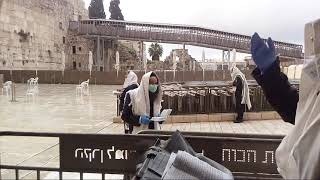 הלל חול המועד פסח מהכותל המערבי