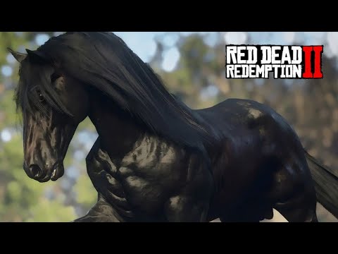 Finding and Taming the Black Steed - The Friesian Horse - 62