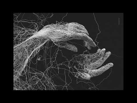 Planetary Assault Systems - Live At Cocoon Ibiza (Continuous Mix) 2019-07-08