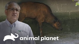 Thumbnail del capítulo