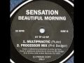 sensation - Beautiful Morning (Multipractic) (Fluke)